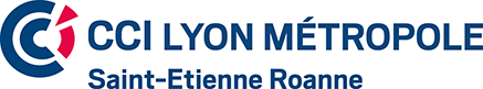 CCI-Lyon-logo.png