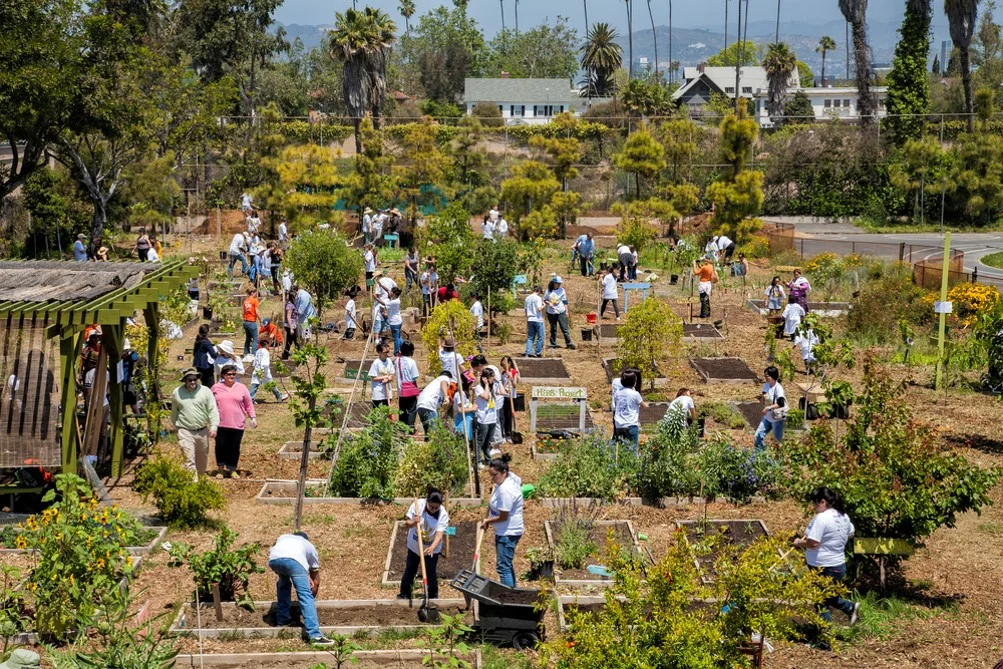 Community Garden.jpg