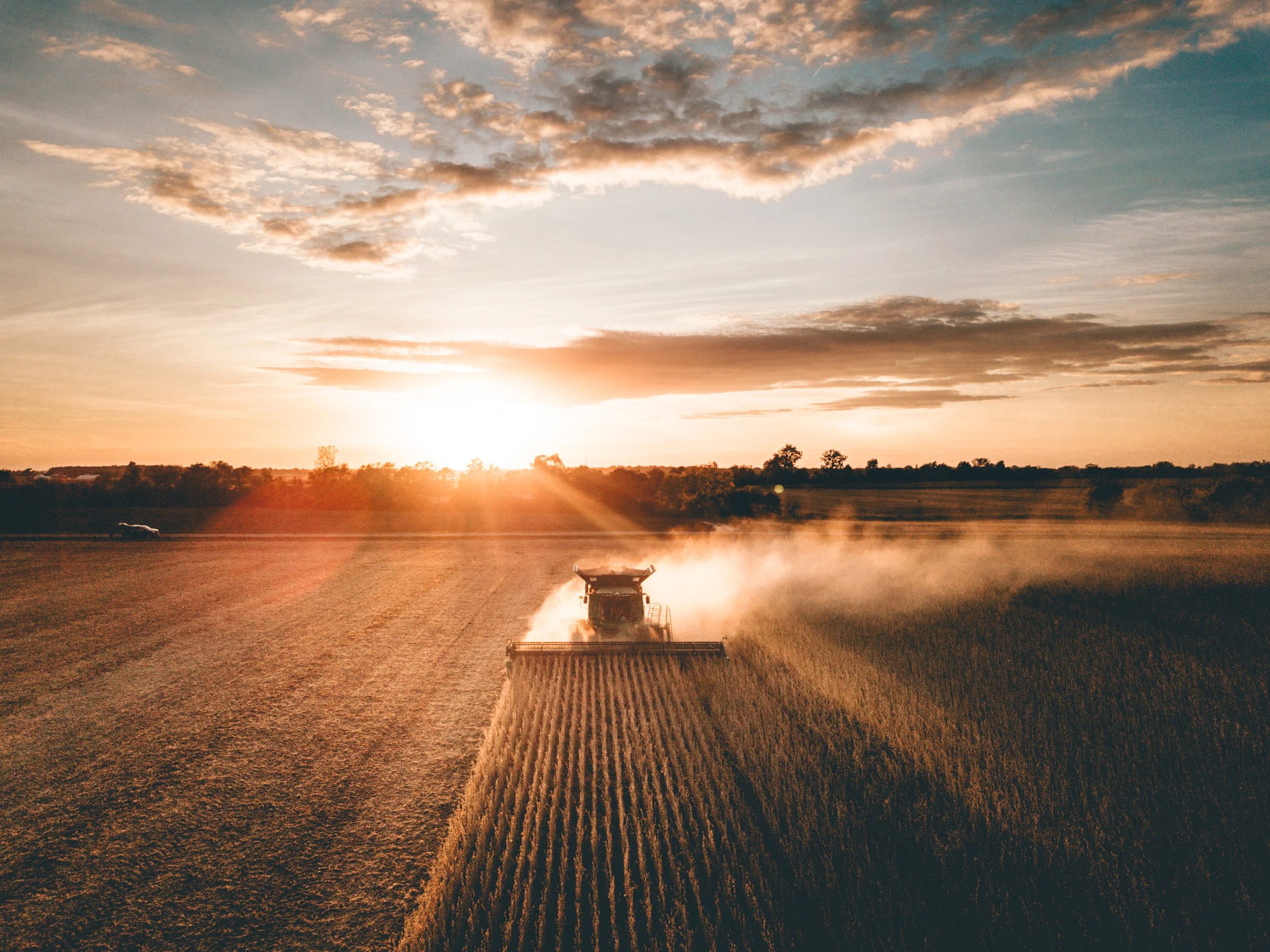 DJI_0466-1-3.jpg