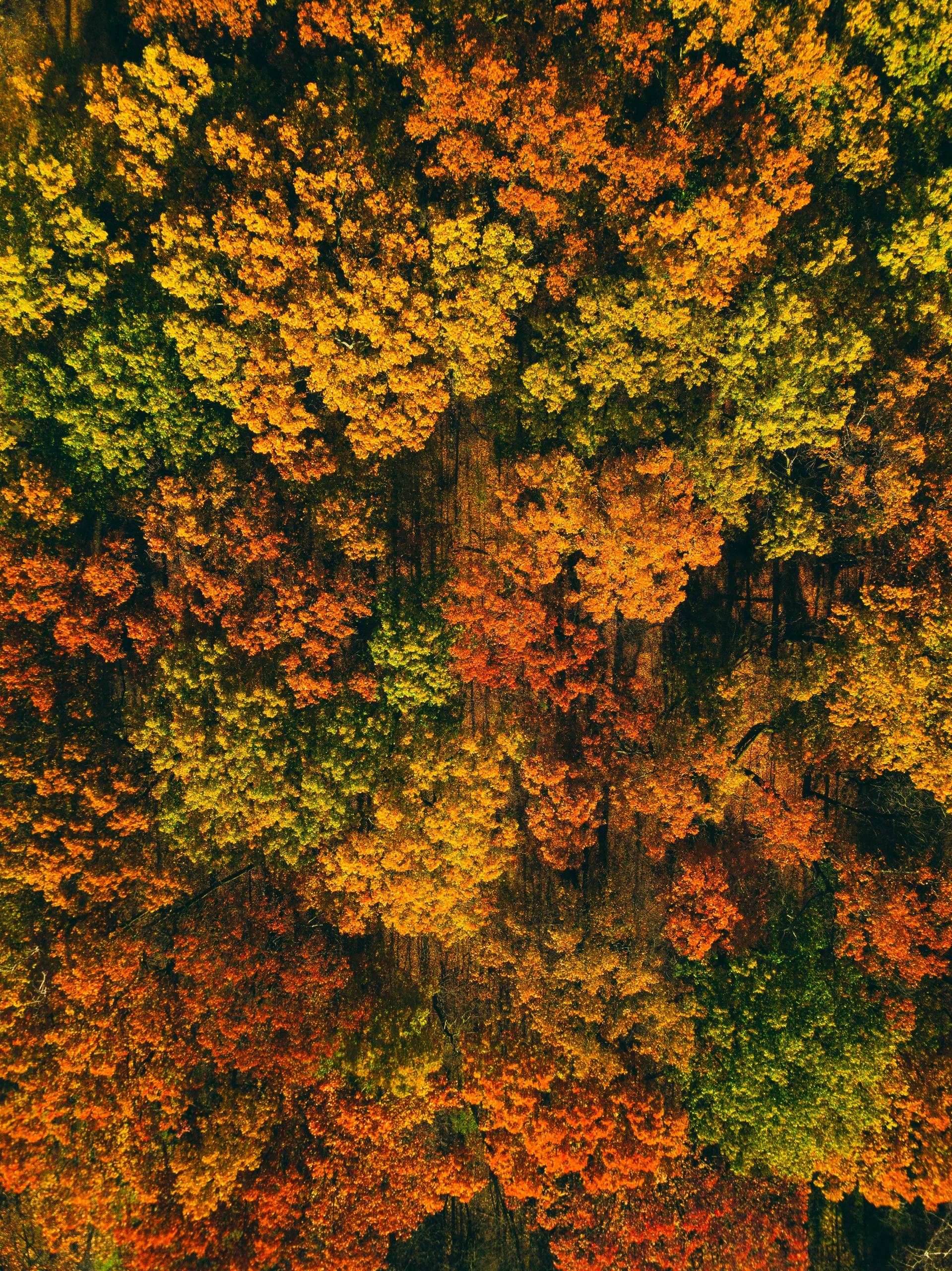 DJI_0721-1-3.jpg