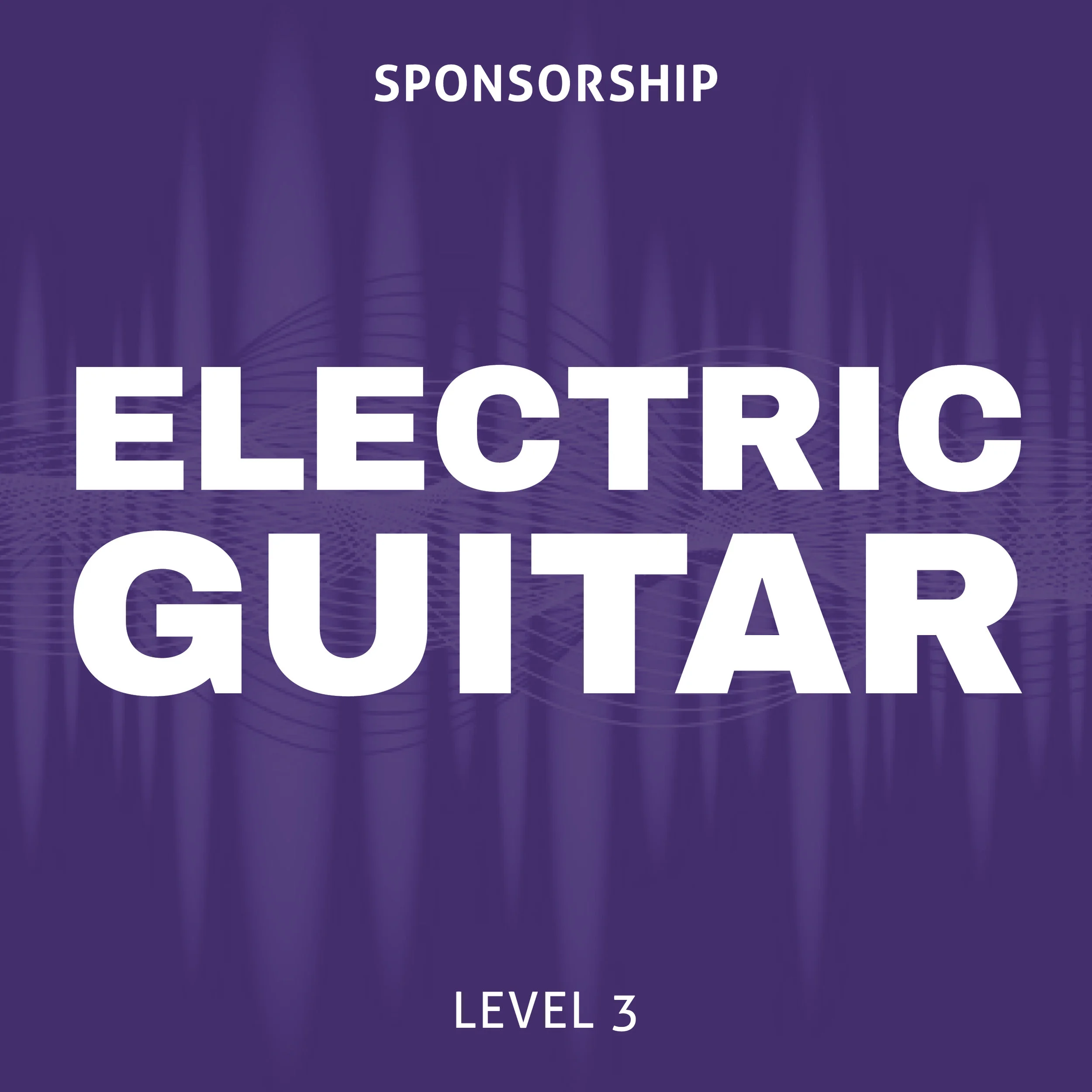 Electric Guitar