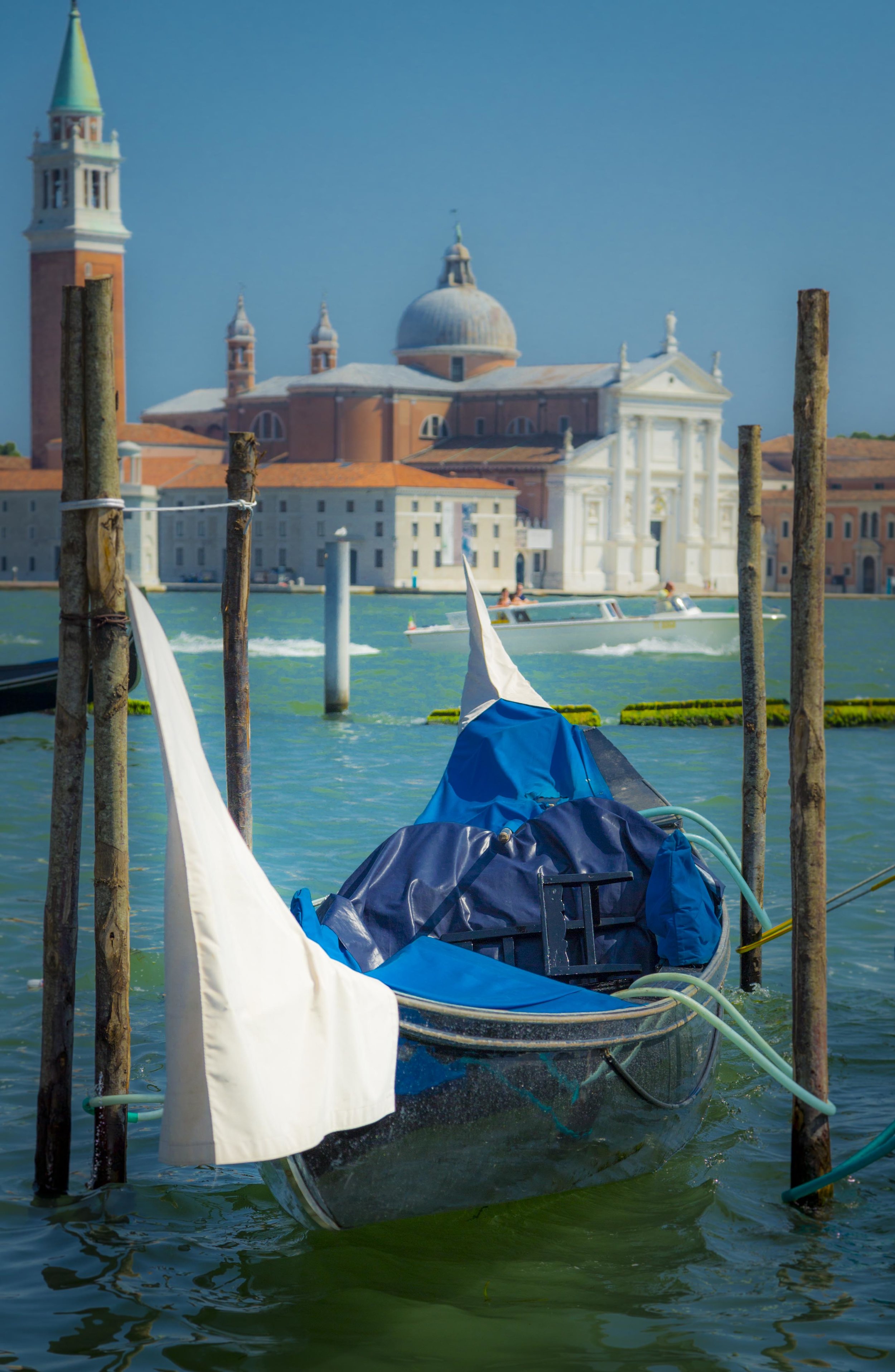 C5D06087.jpg