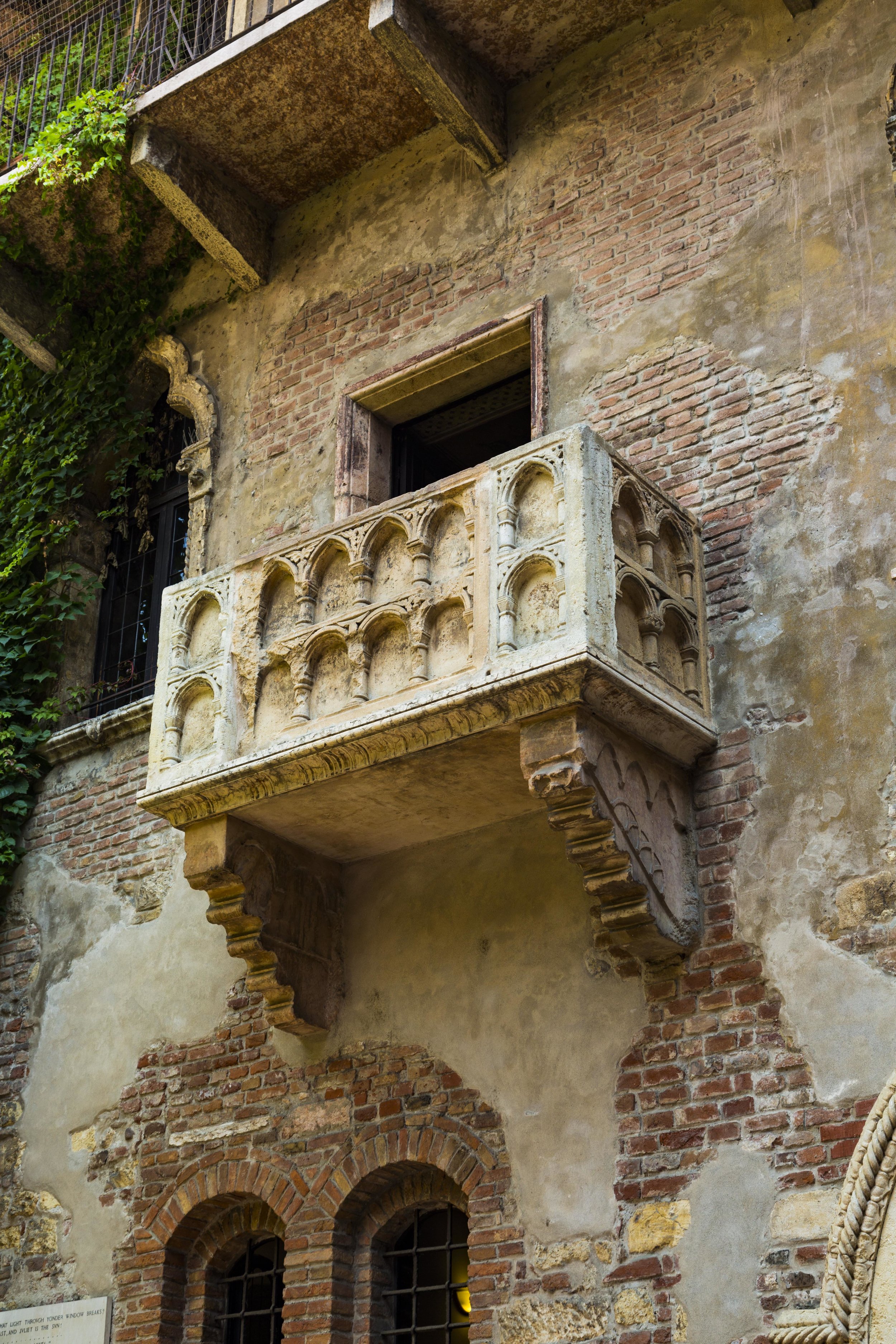 C5D06334.jpg