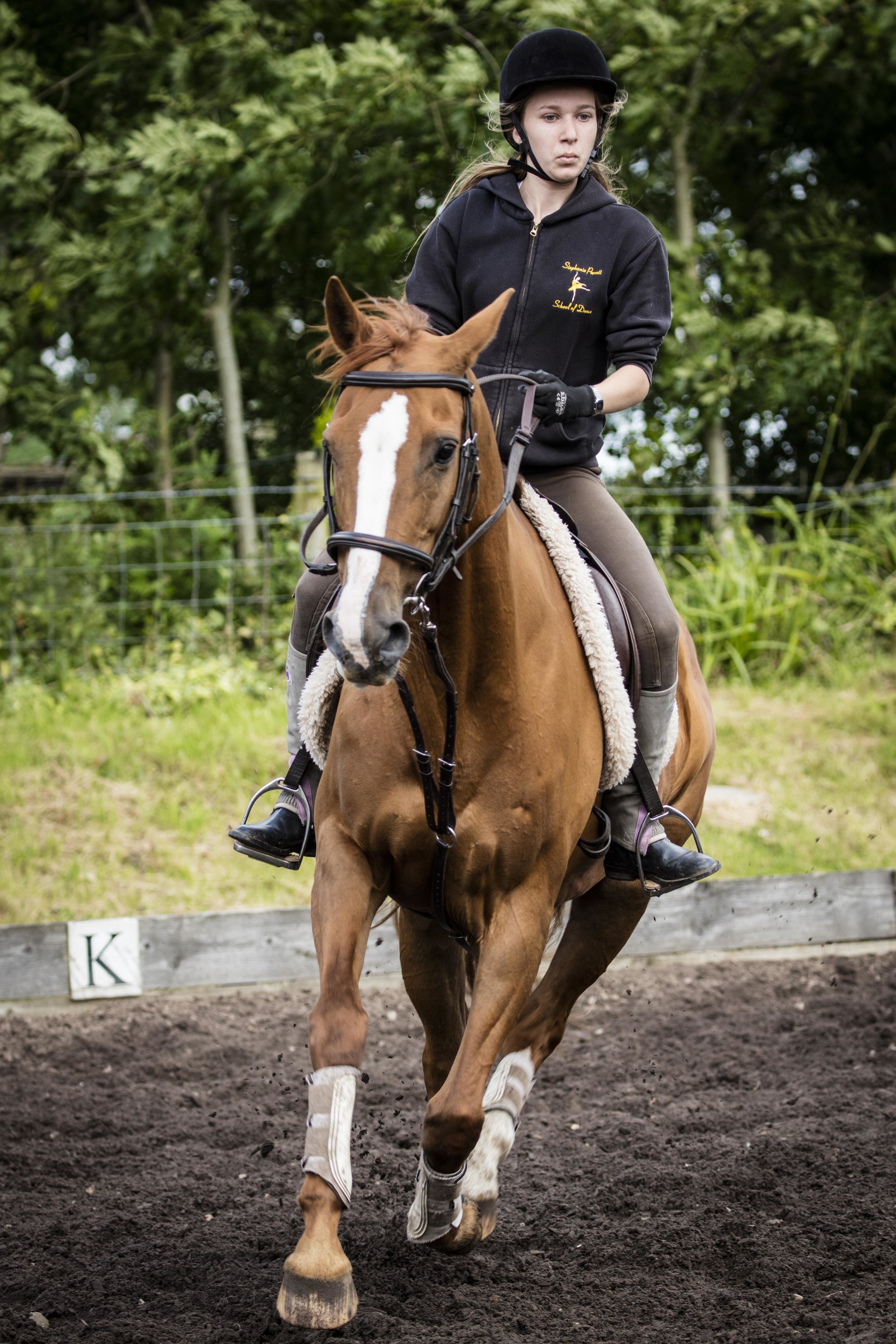 Equestrian-7.jpg