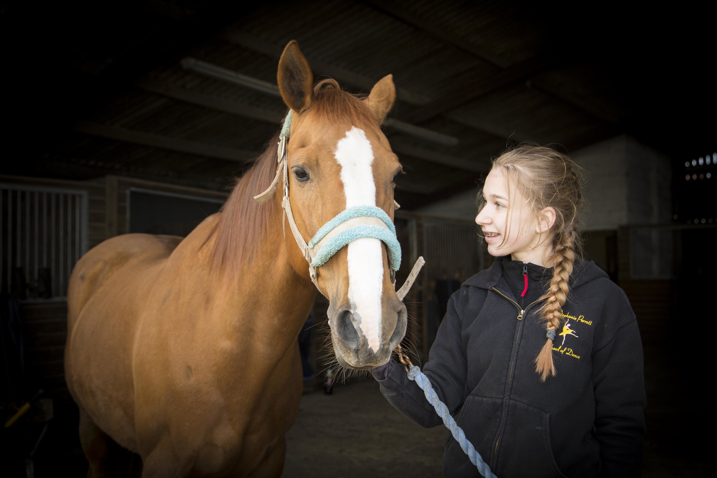 Equestrian-6.jpg