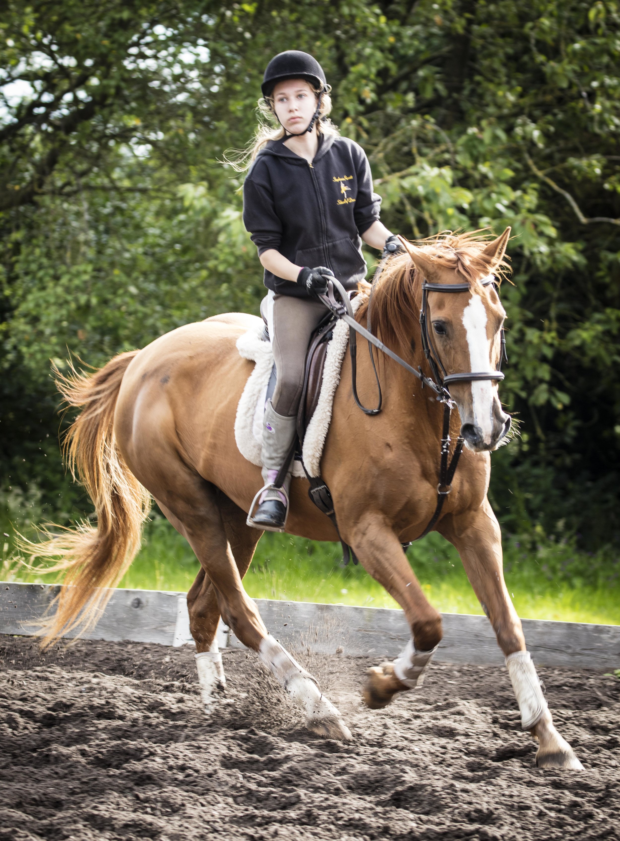 Equestrian-8.jpg