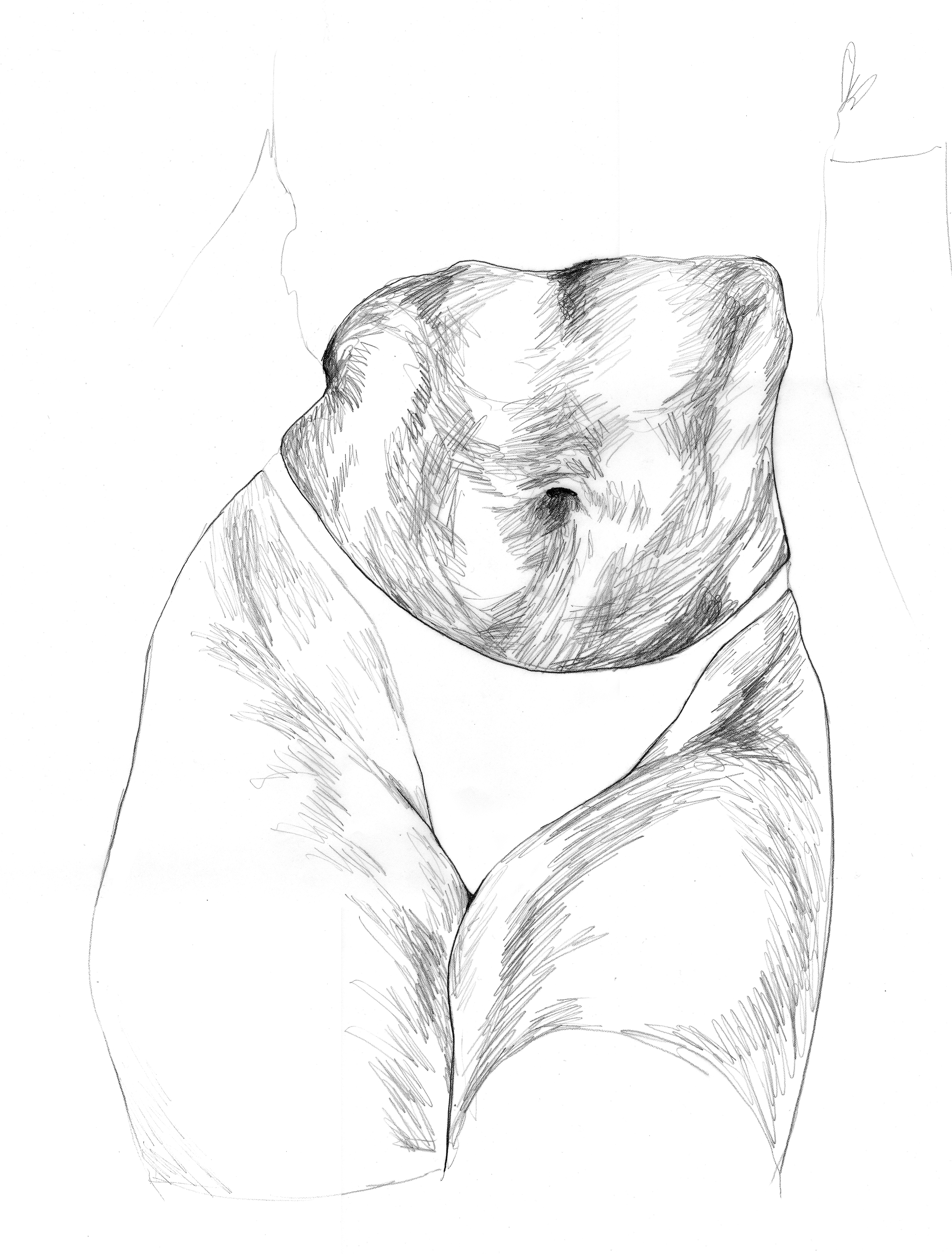 3 drawing tummy-1.png