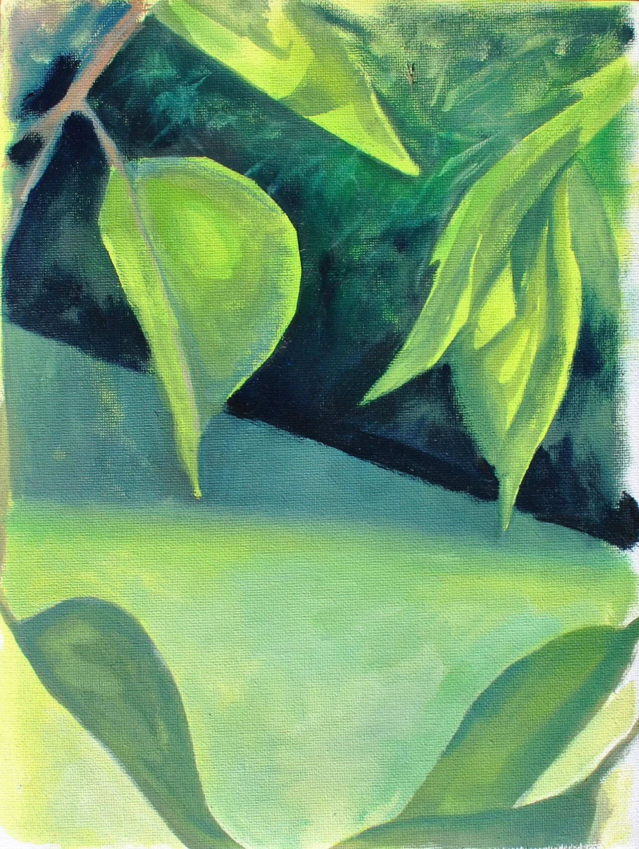 2019 window view through tree branches.jpg