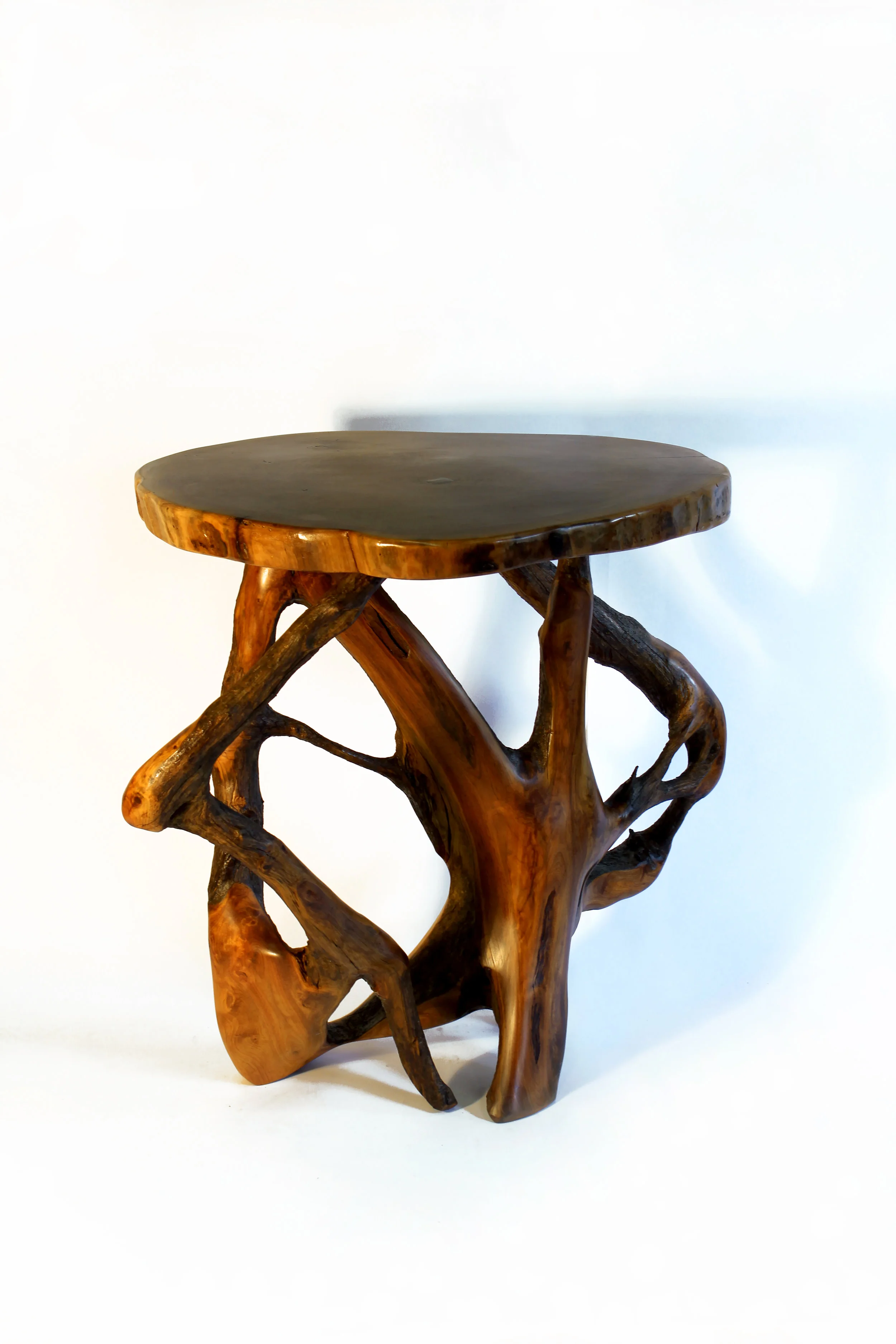 Driftwood and Slab Table II