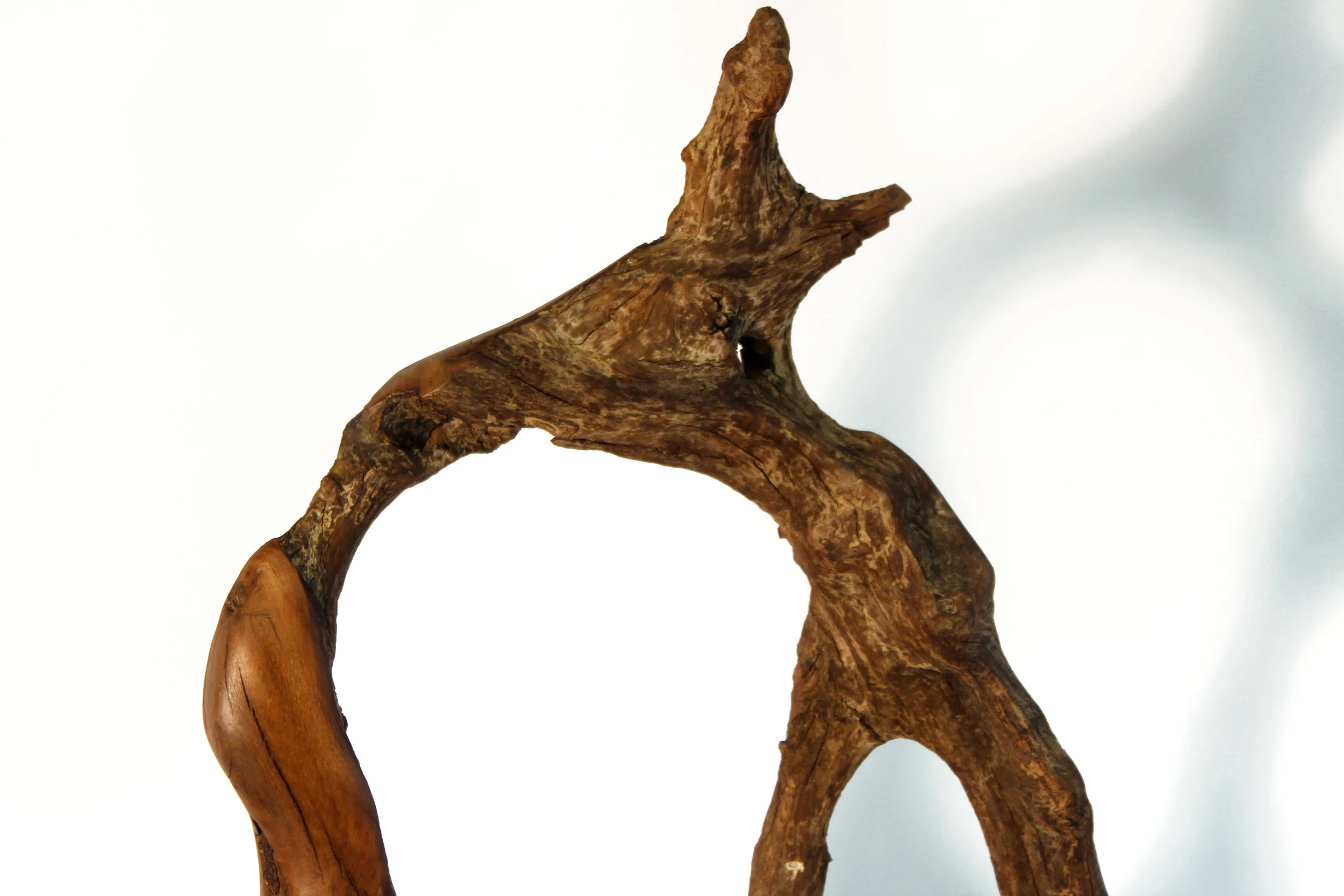 detail 2_5-6.jpg