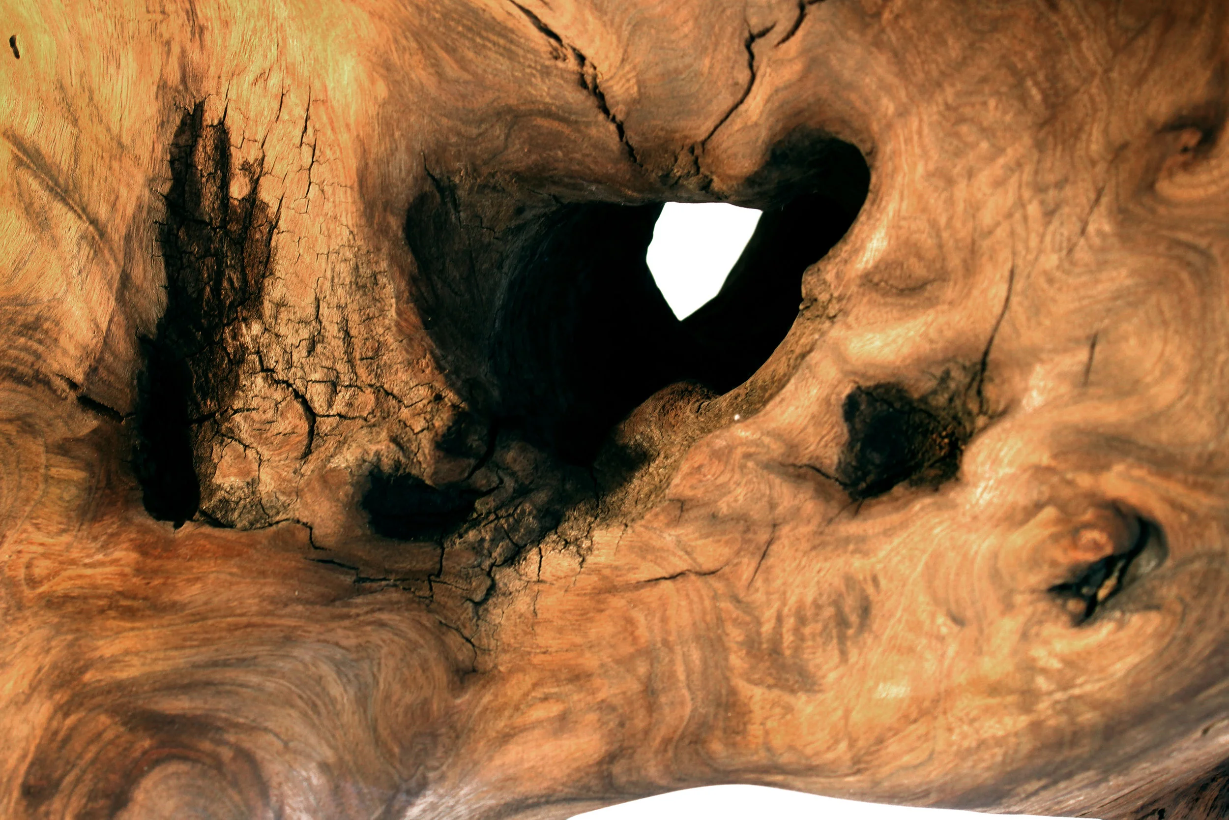 detail 8_4-27.jpg