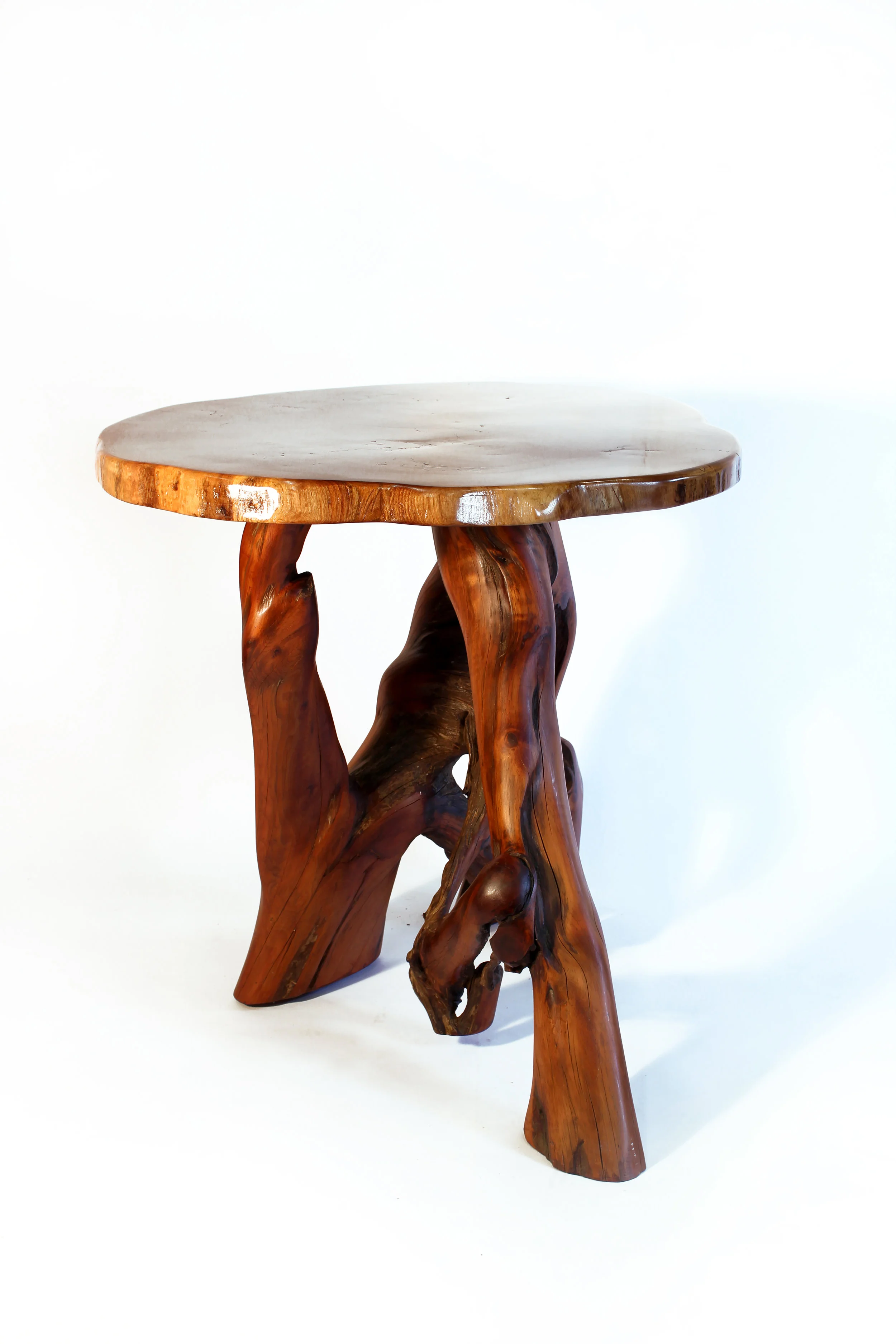Driftwood and Slab Table III