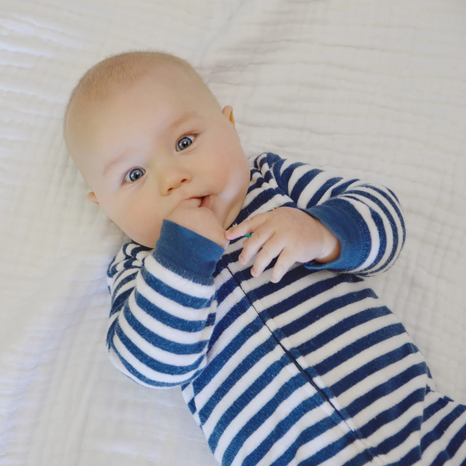 Training Methods: Scripted Checks