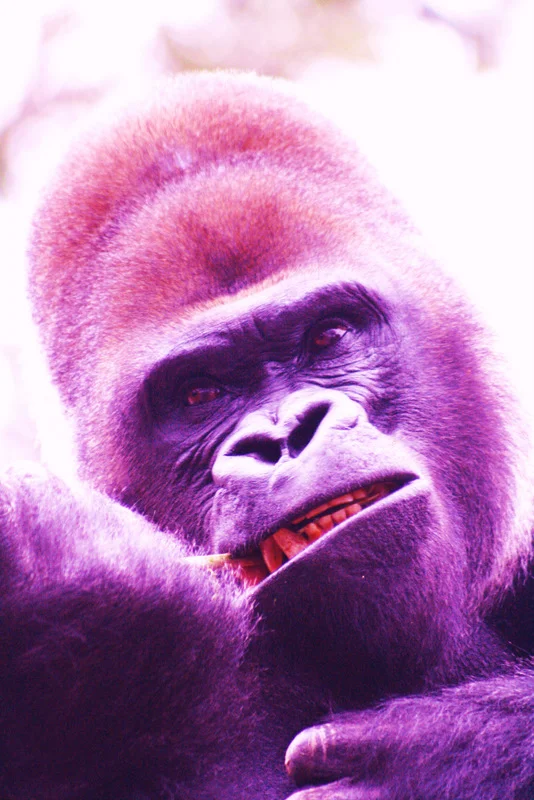 First Day of Shooting 017.JPG