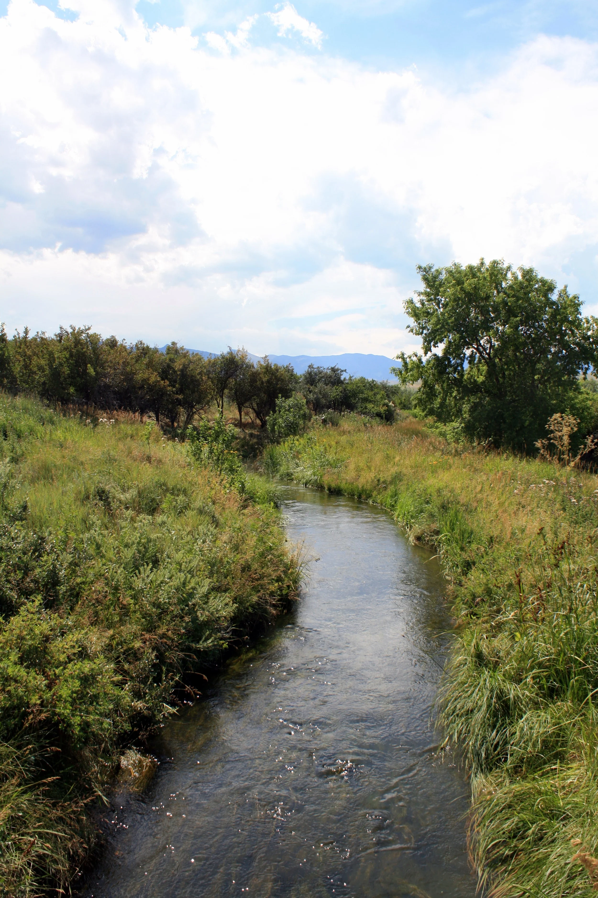 Powder Horn Country Club (Sheridan, WY)