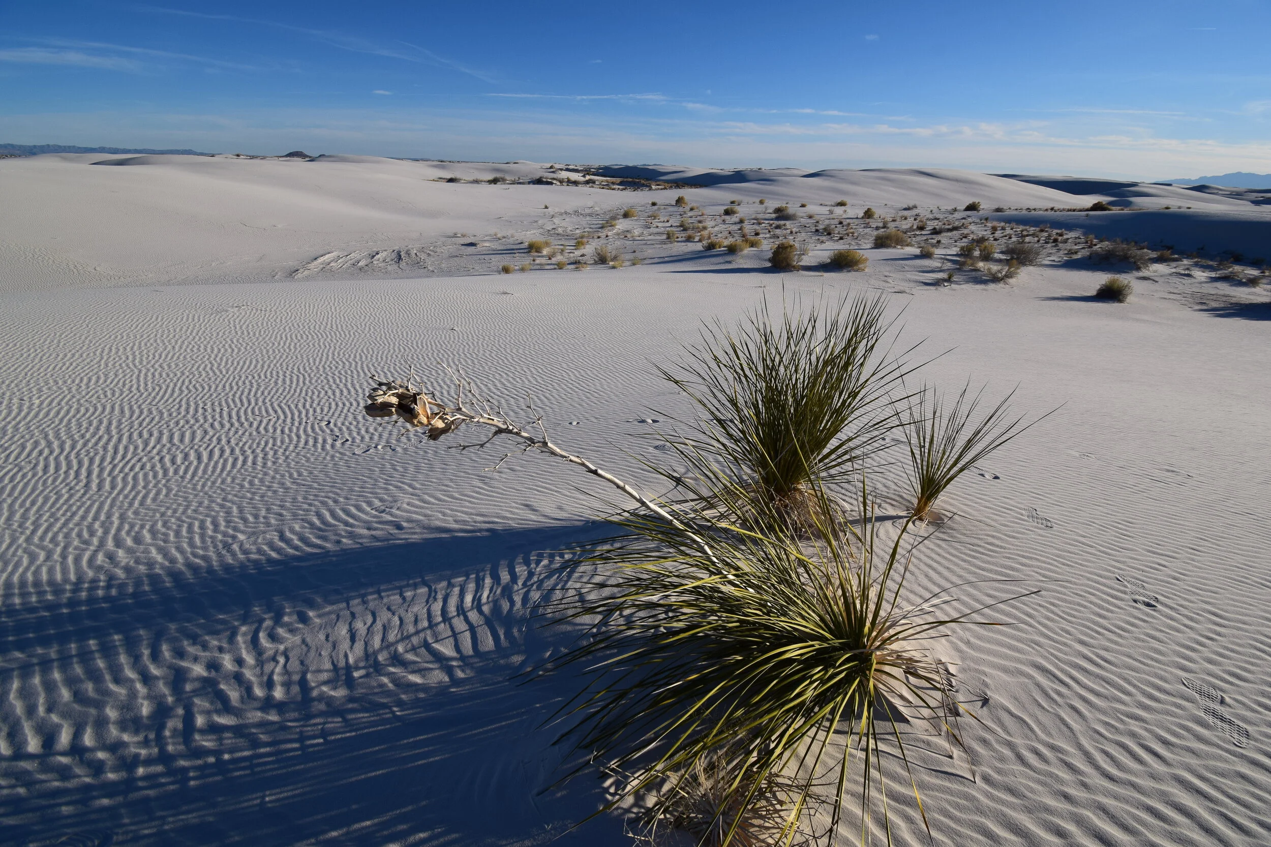 DSC_1012.JPG