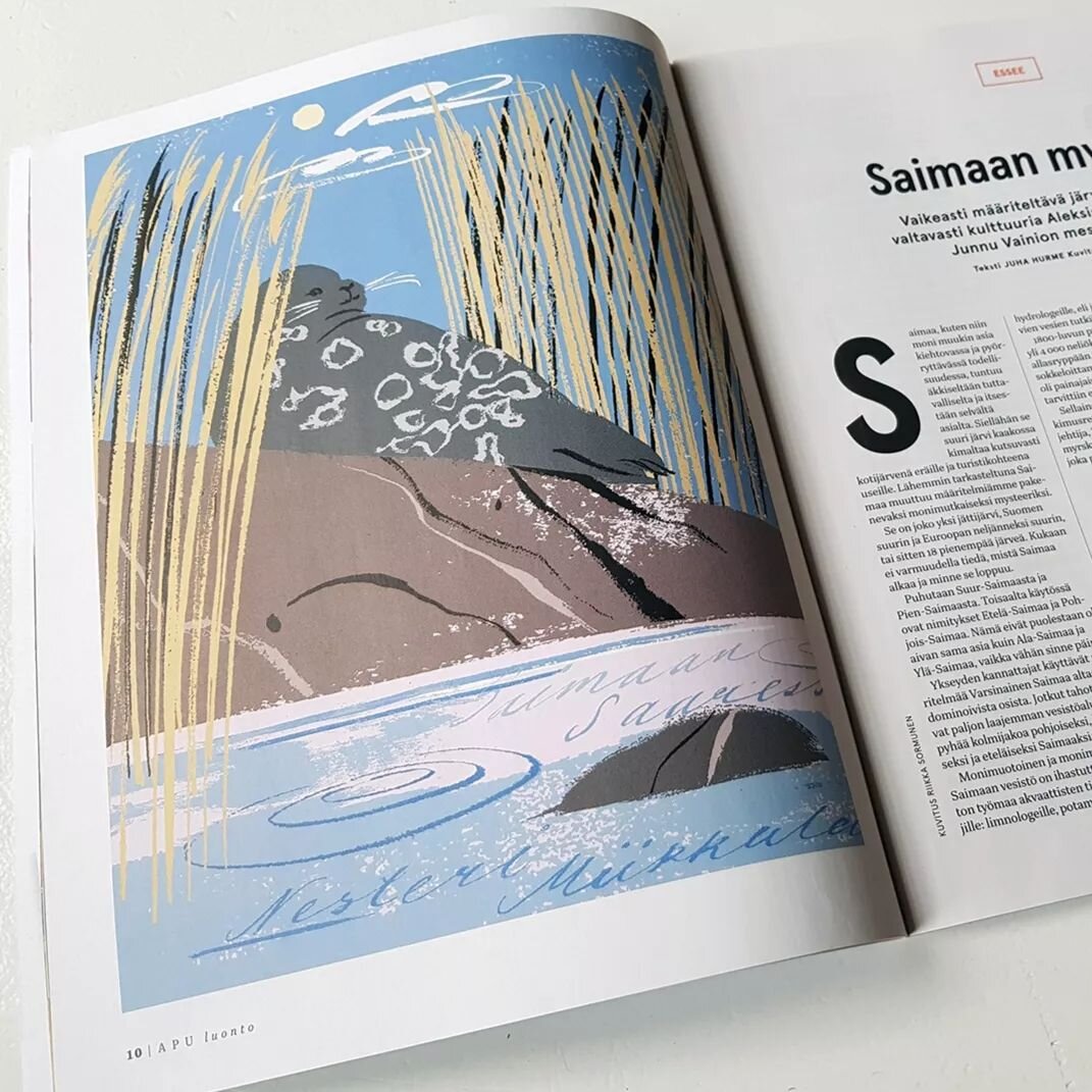 Olen tehnyt kuvituksia Apu Luonto -lehtiin ja t&auml;ss&auml; yksi niist&auml; alkuvuodelta!

#Saimaannorppa #luontokuvitus #lehtikuvitus #apuluonto #apulehti #Saimaa #magazineillustration #natureillustration