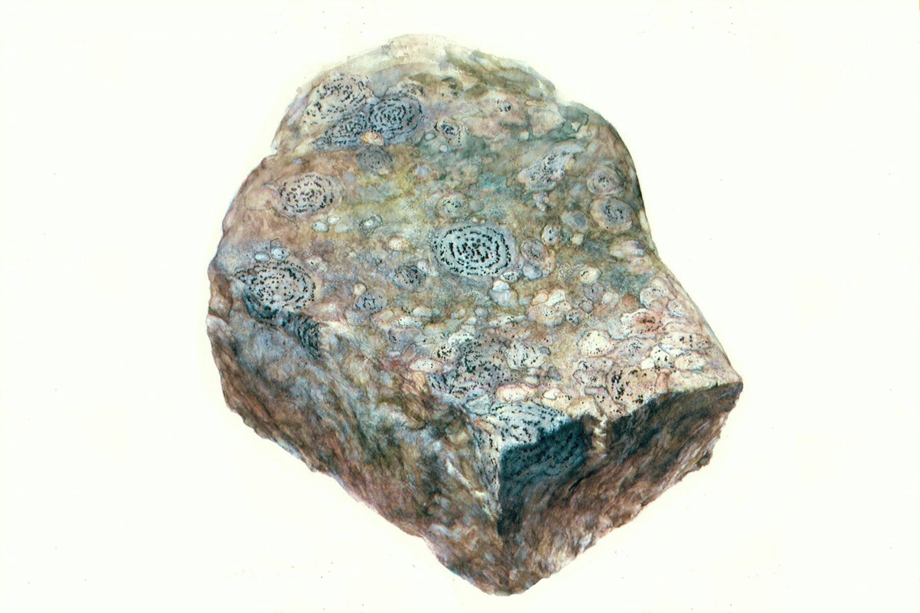 Stone