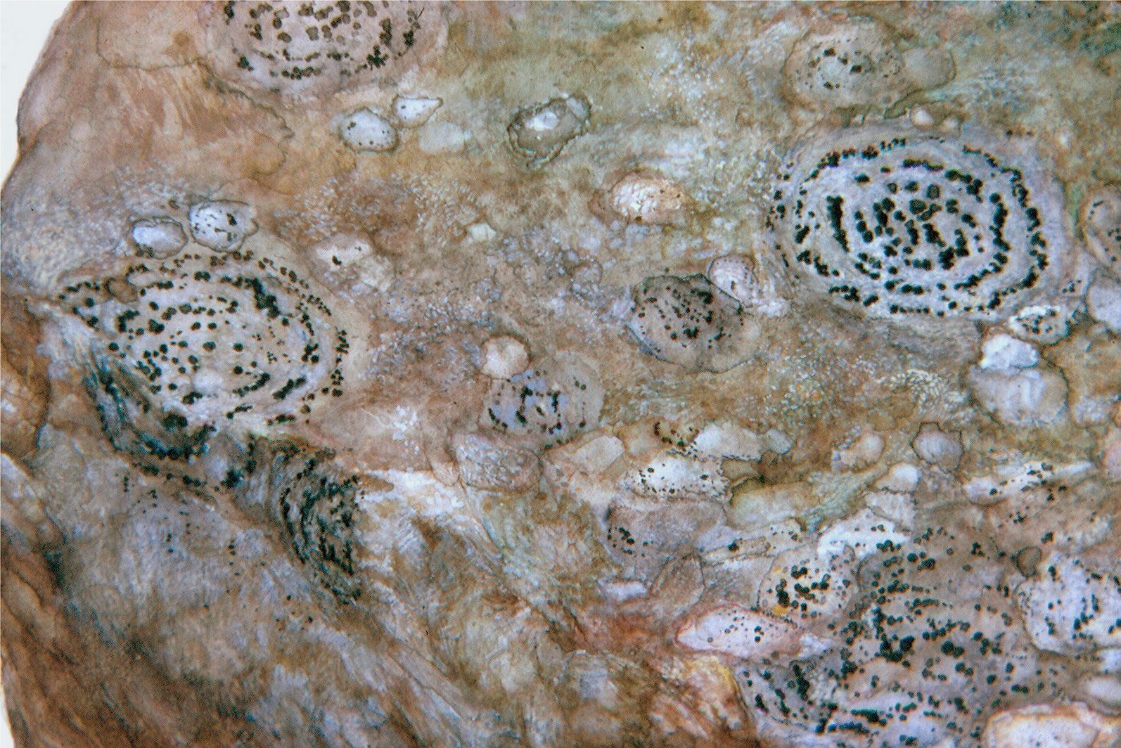 Stone (detail)