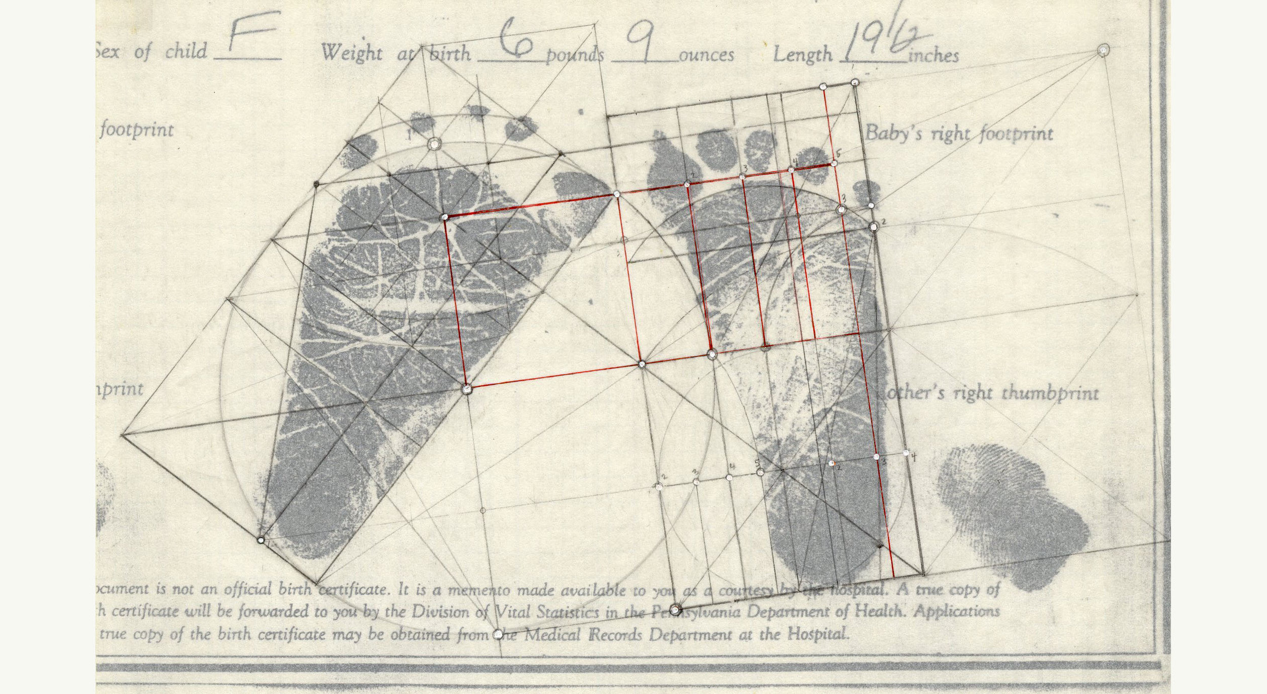 Baby Feet.jpg