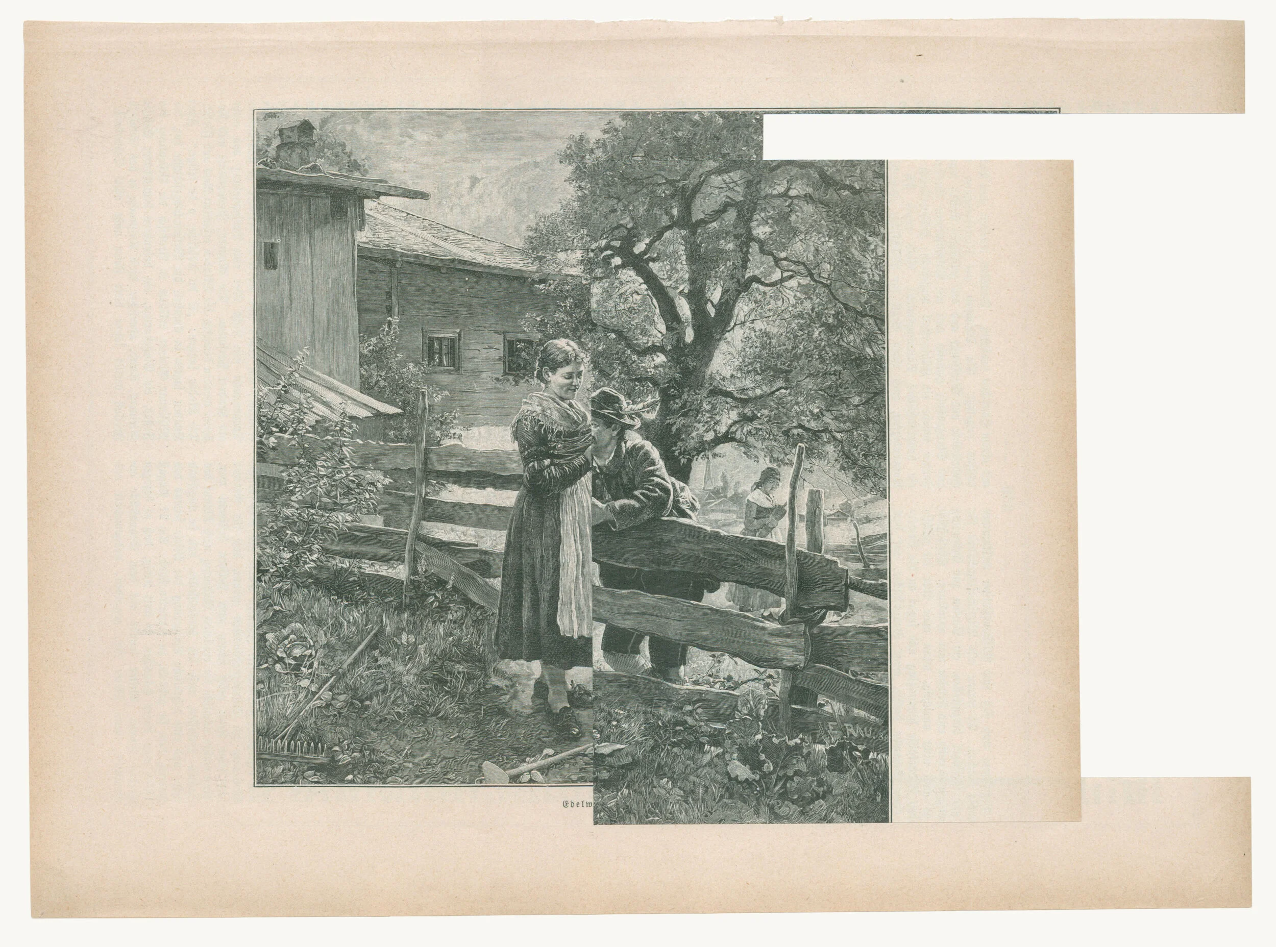 The Eyewitness