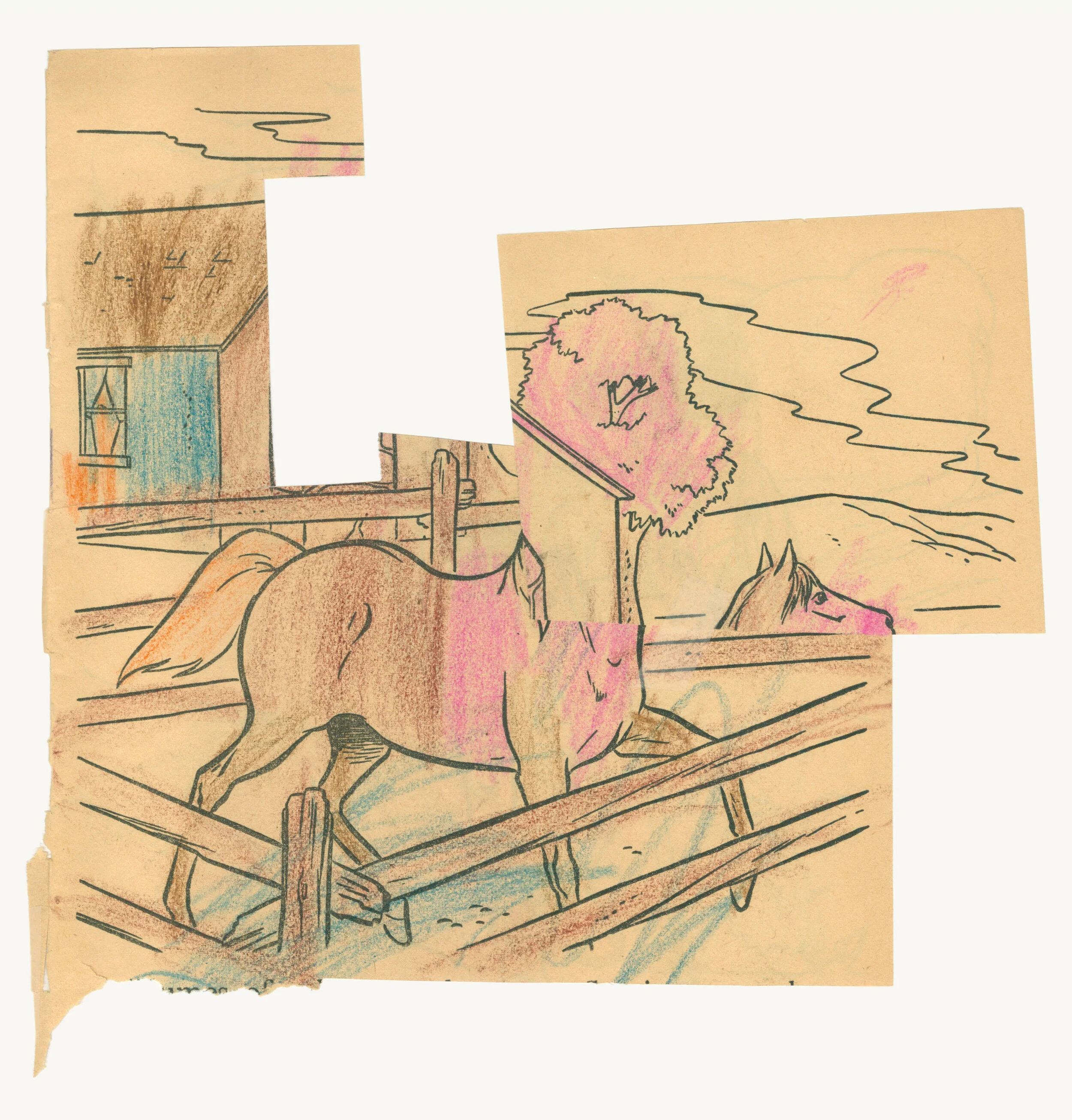 Corral