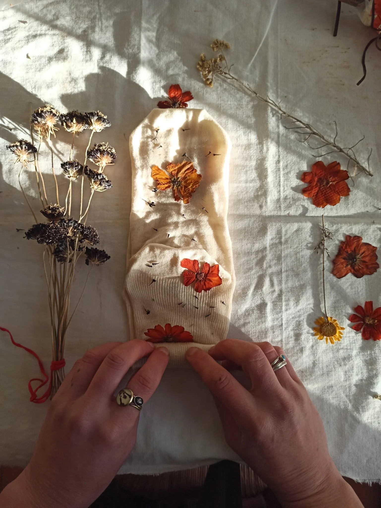 Stampa Botanica con Giuditta Canuto