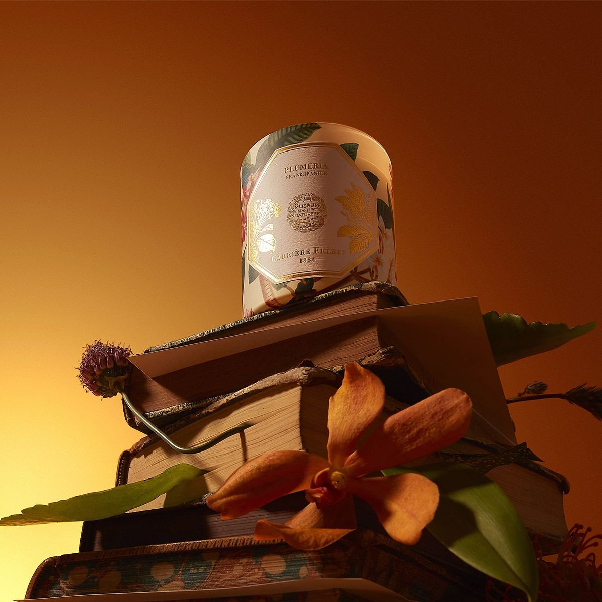 cf-frangipani-candle-2024-_2_.jpg
