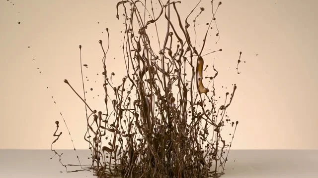 Satoshi Communication Art 2016 Photo Annual Winner