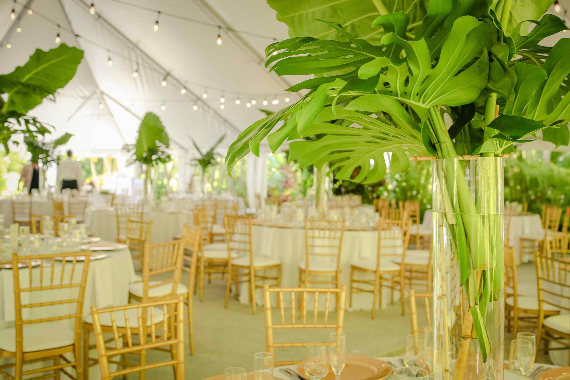  Reception Set Up at Samsara Gardens 