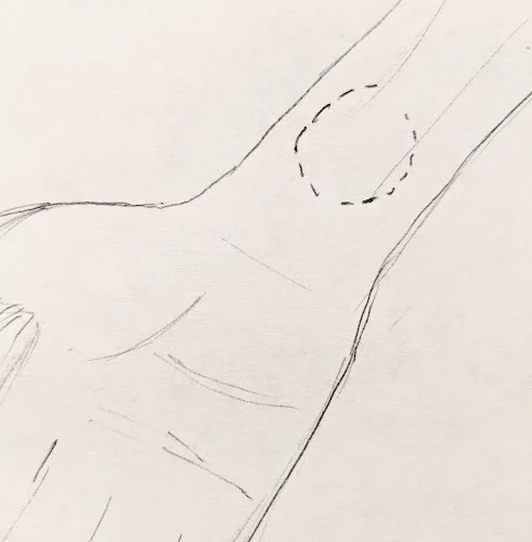 March 4th, 2019 - The Starlet Apartments