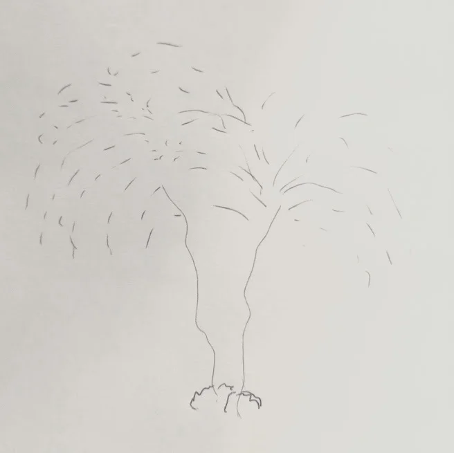 March 18th, 2019 - Color and Light