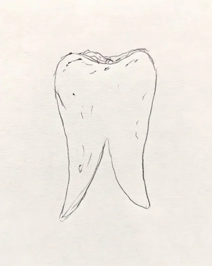 April 1st, 2019 - The Match