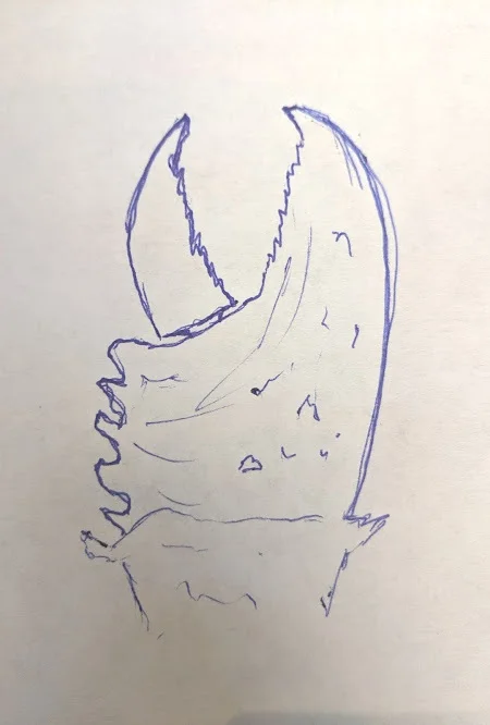 October 7th, 2019 - Shape-Ups at Delilah's