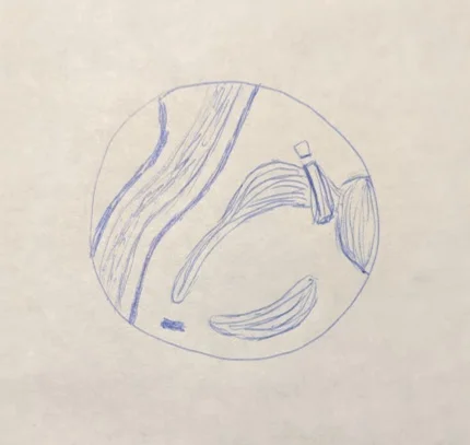 November 4th, 2019 - God's Caravan