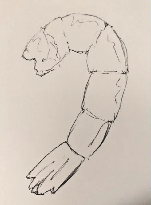 January 20th, 2020 - Visitor