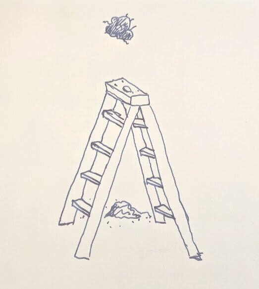 May 24th, 2021 - The Party