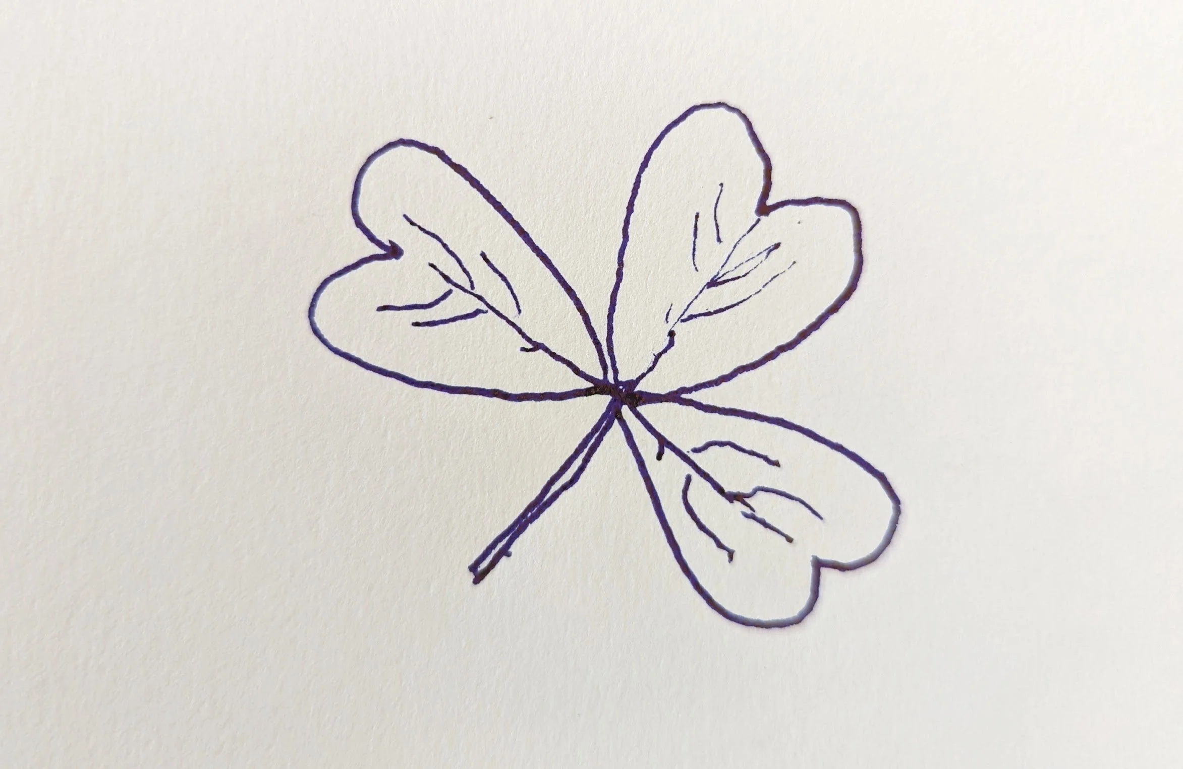 March 22nd, 2022 - Wood Sorrel House