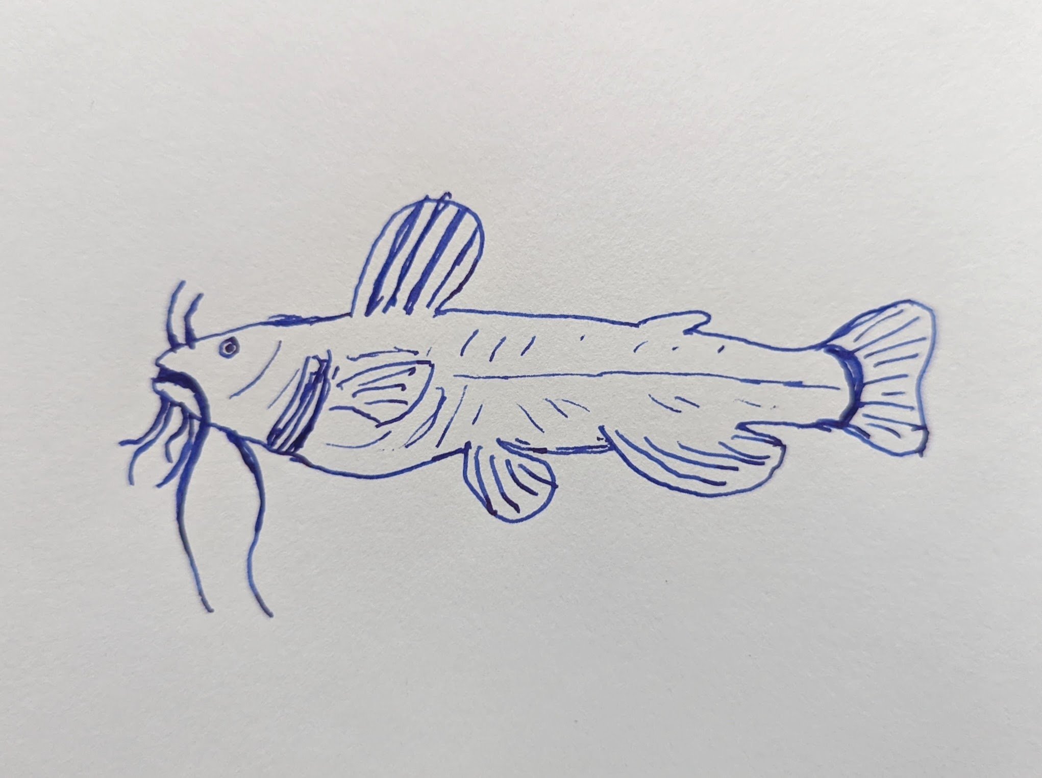 April 18th, 2022 - Just a Little Fever