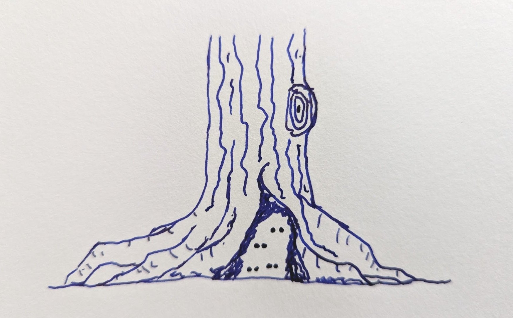 March 13th, 2023 - How I Became a Vet