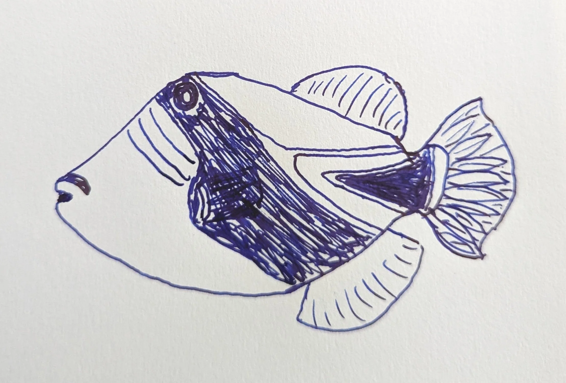 May 8th, 2023 - The Plaza