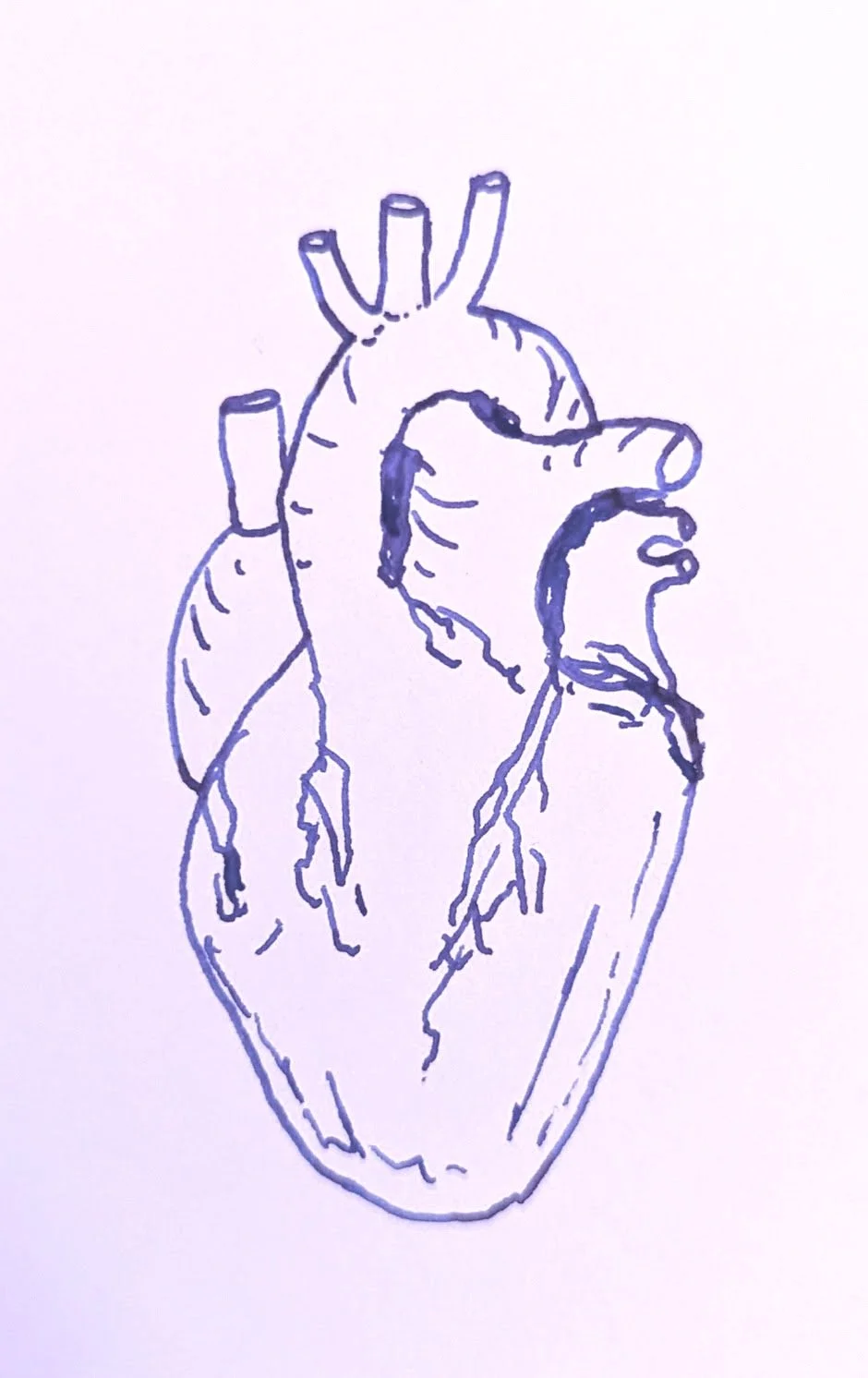 October 9th, 2023 - Heart