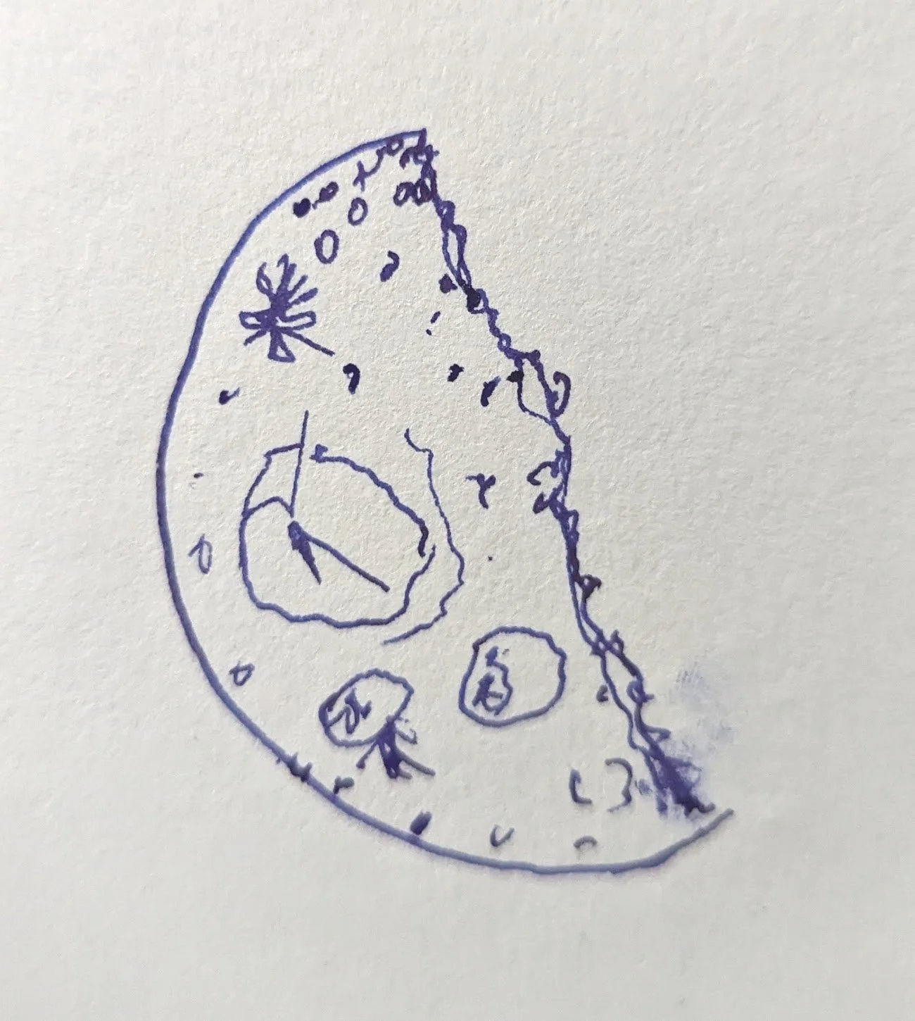 June 24th, 2024 - The Buggy