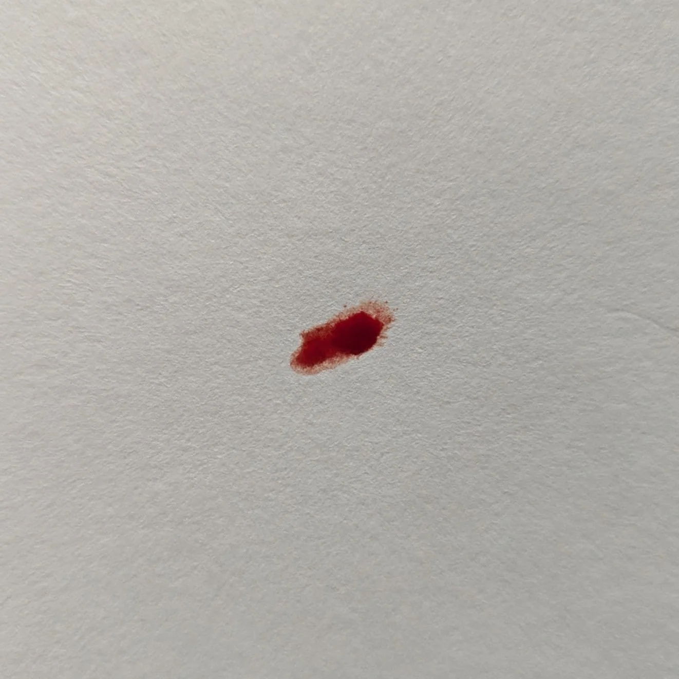 July 22nd, 2024 - Freedom to Move