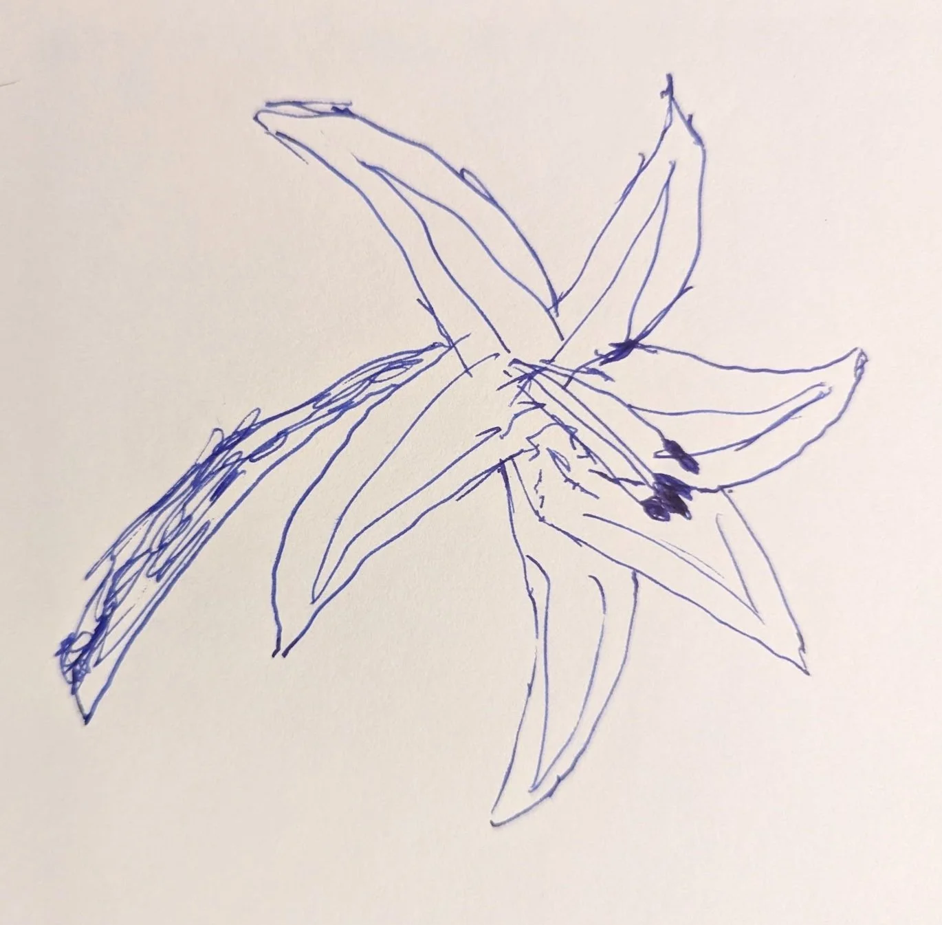 September 30th, 2024 - Ambrose