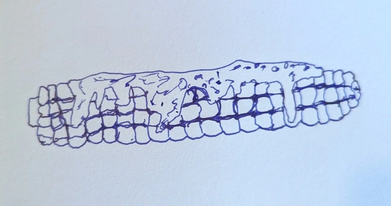 November 4th, 2024 - From the Wilderness