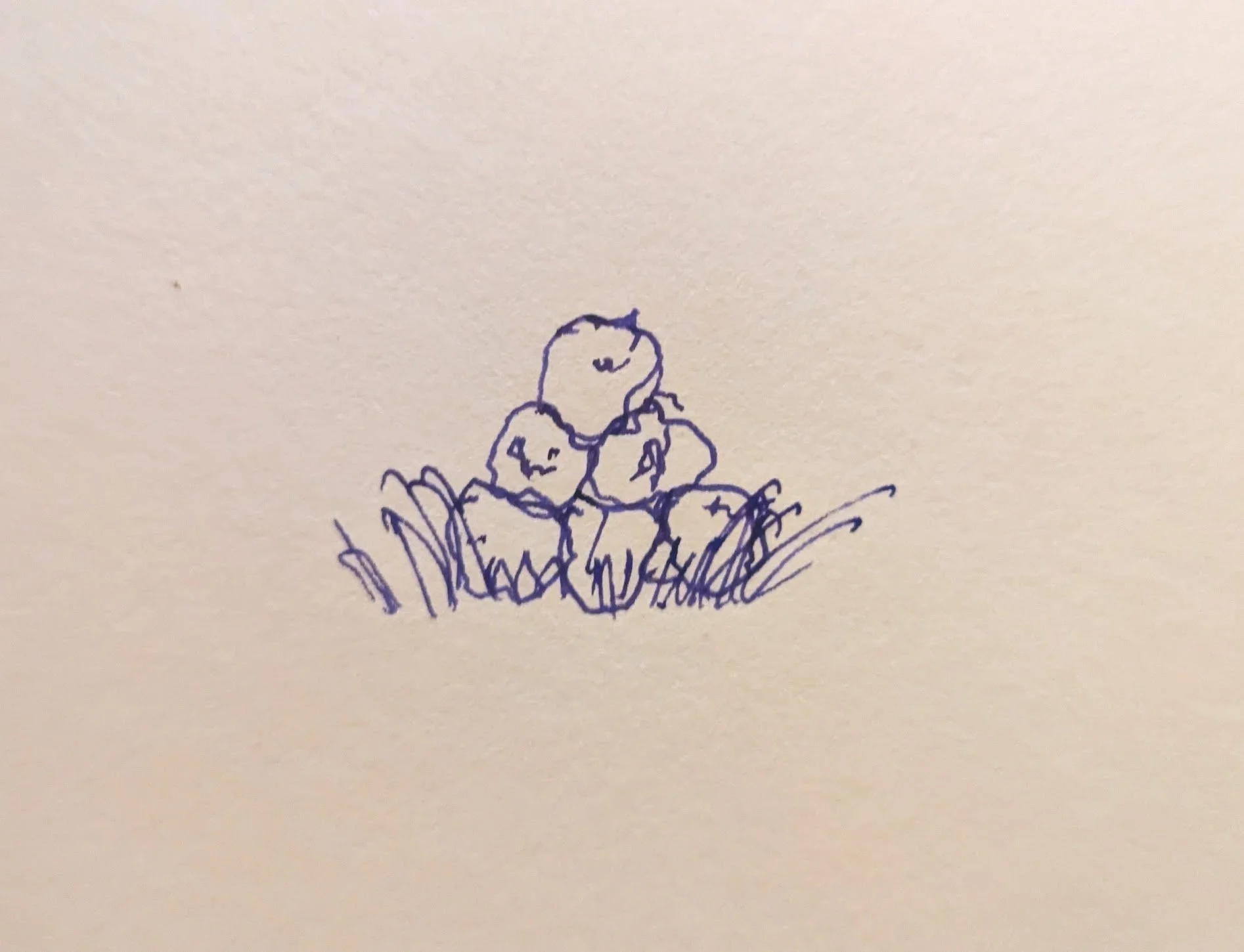 November 11th, 2024 - The Honest Island