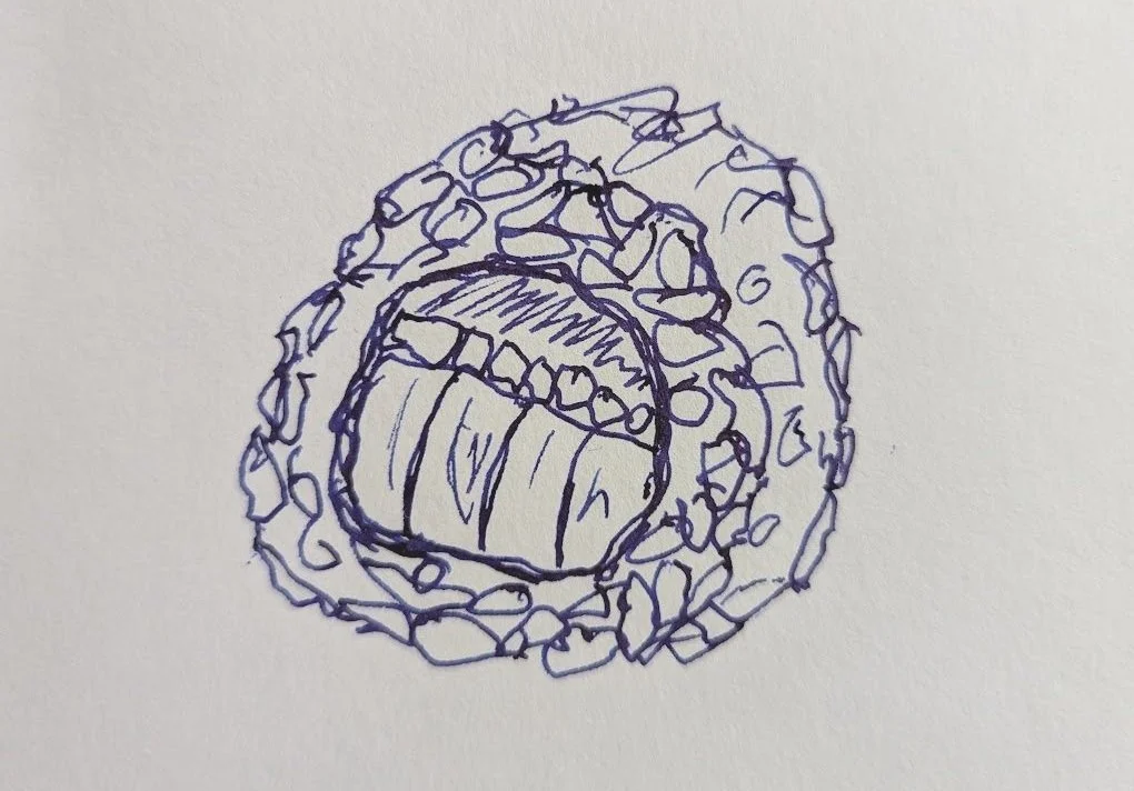 March 24th, 2025 - The Frenzy