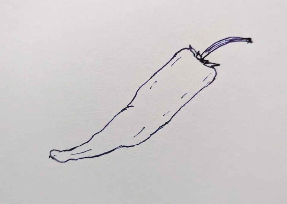 April 28th, 2025 - Tortoiseshell