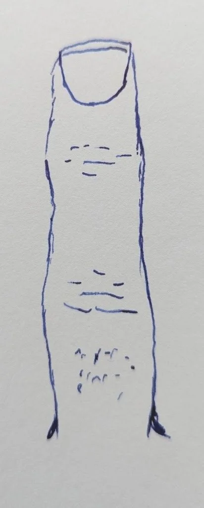 May 5th, 2025 - Nocturnal Creatures